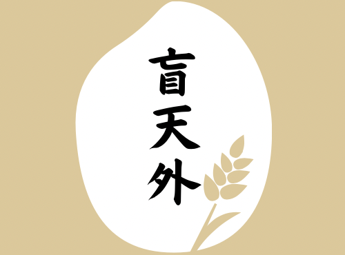 盲天外